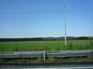 P1350080-fx37.JPG