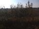 IMG_0001-ipodnanoS.mp4#000530