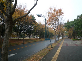 P1350801-fx37.JPG