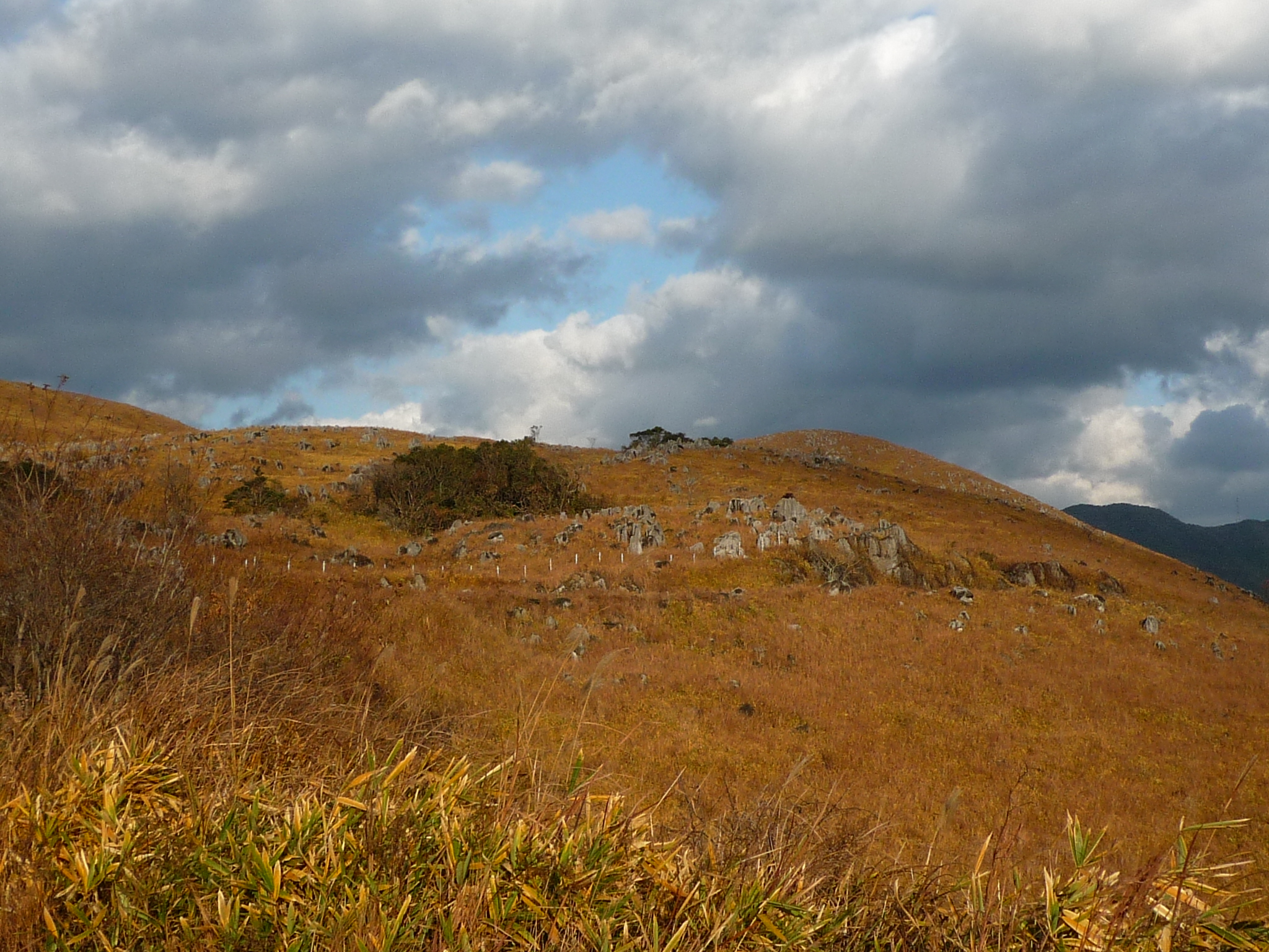 P1360322-fx37