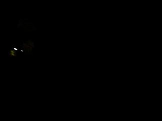 P1360359-fx37.MOV#000115
