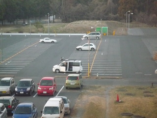 P1370433-fx37.JPG