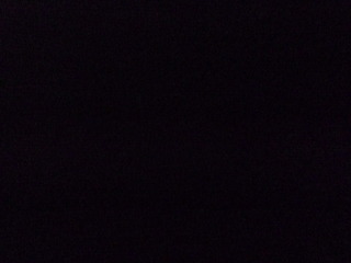 P1380874-fx37.JPG