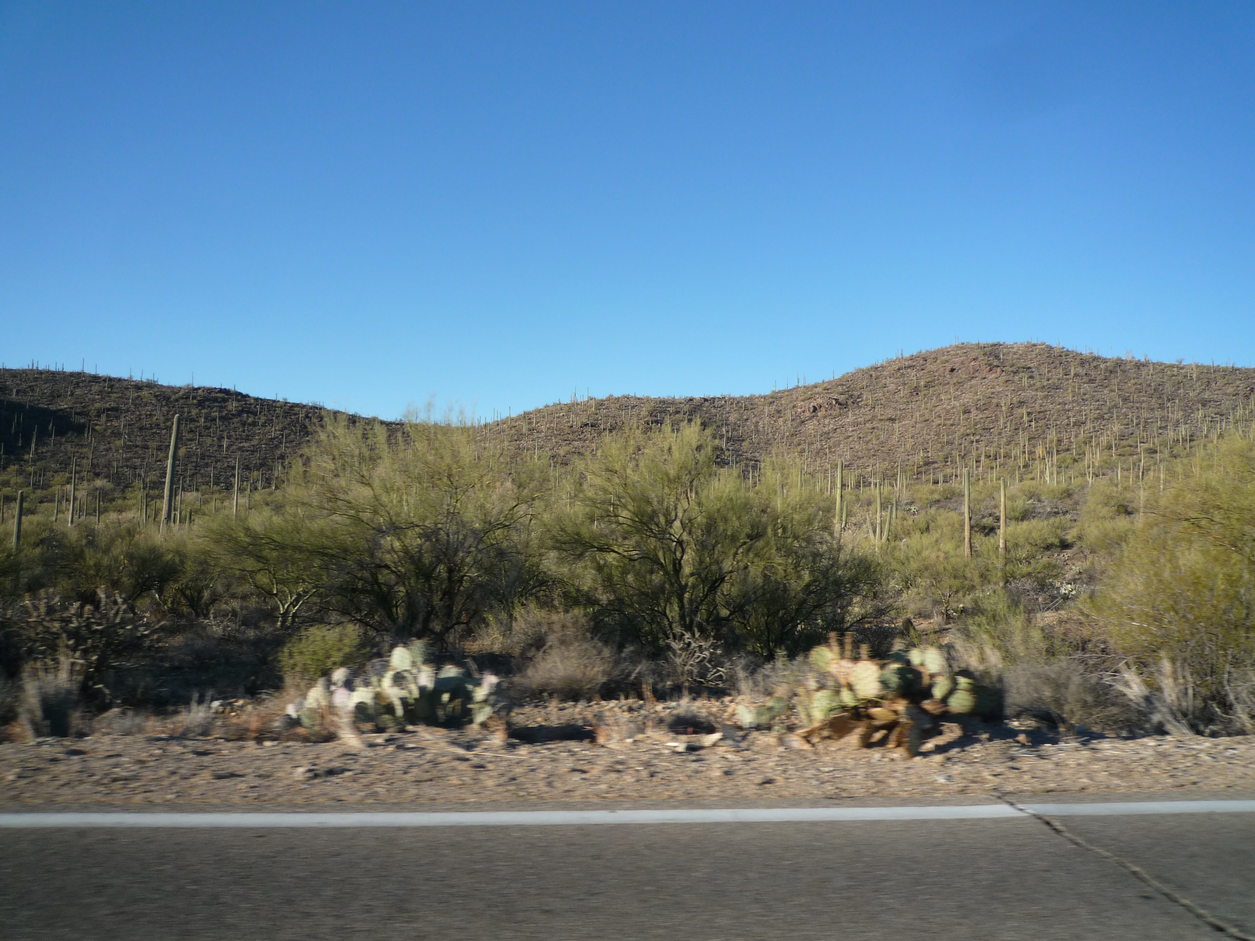 P1390026-fx37