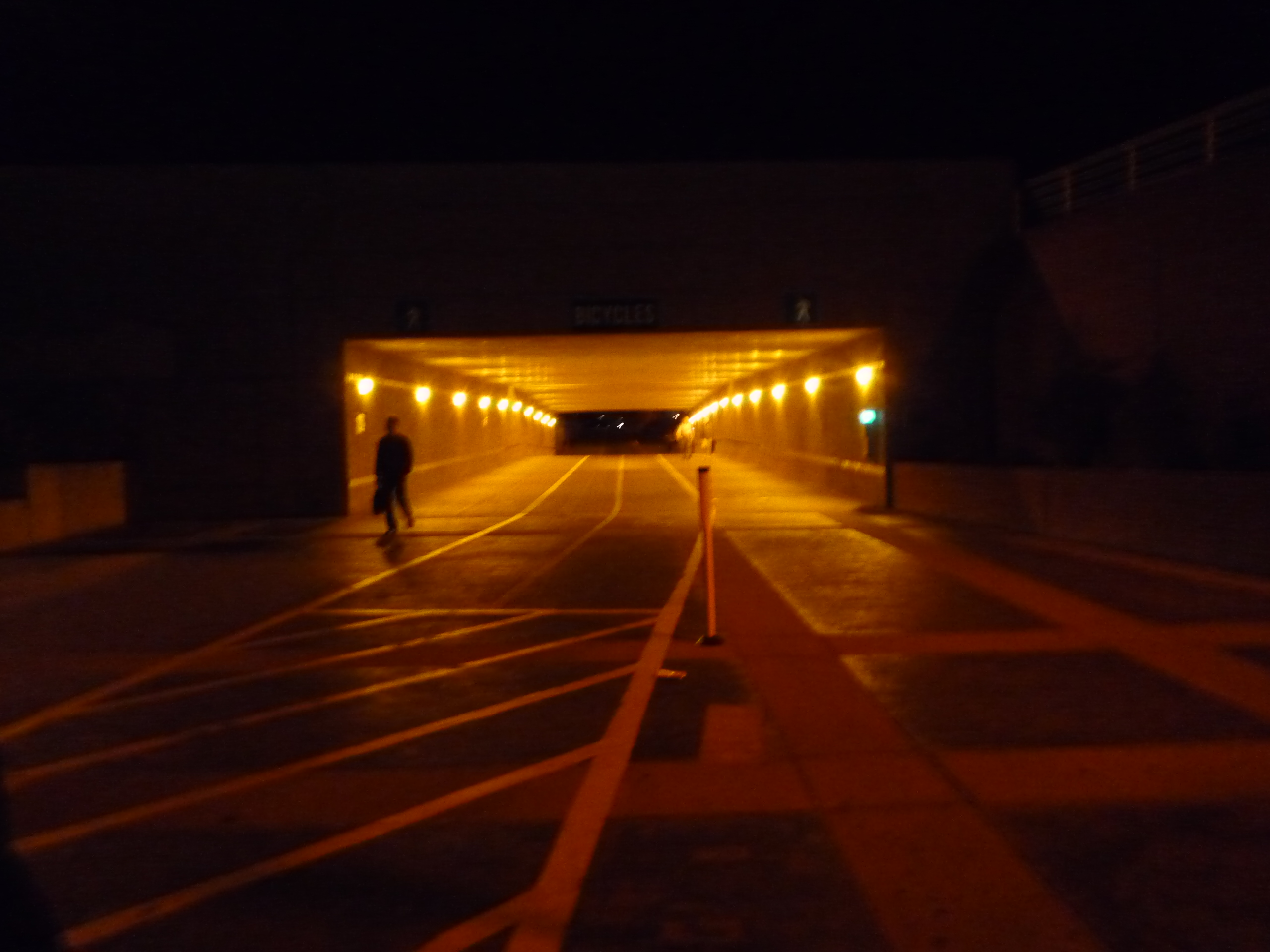 P1390288-fx37