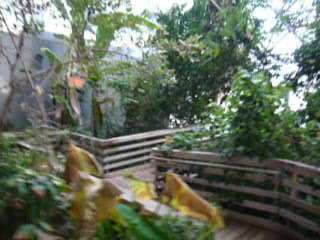 P1390092-fx37.JPG