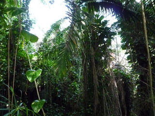P1390115-fx37.JPG