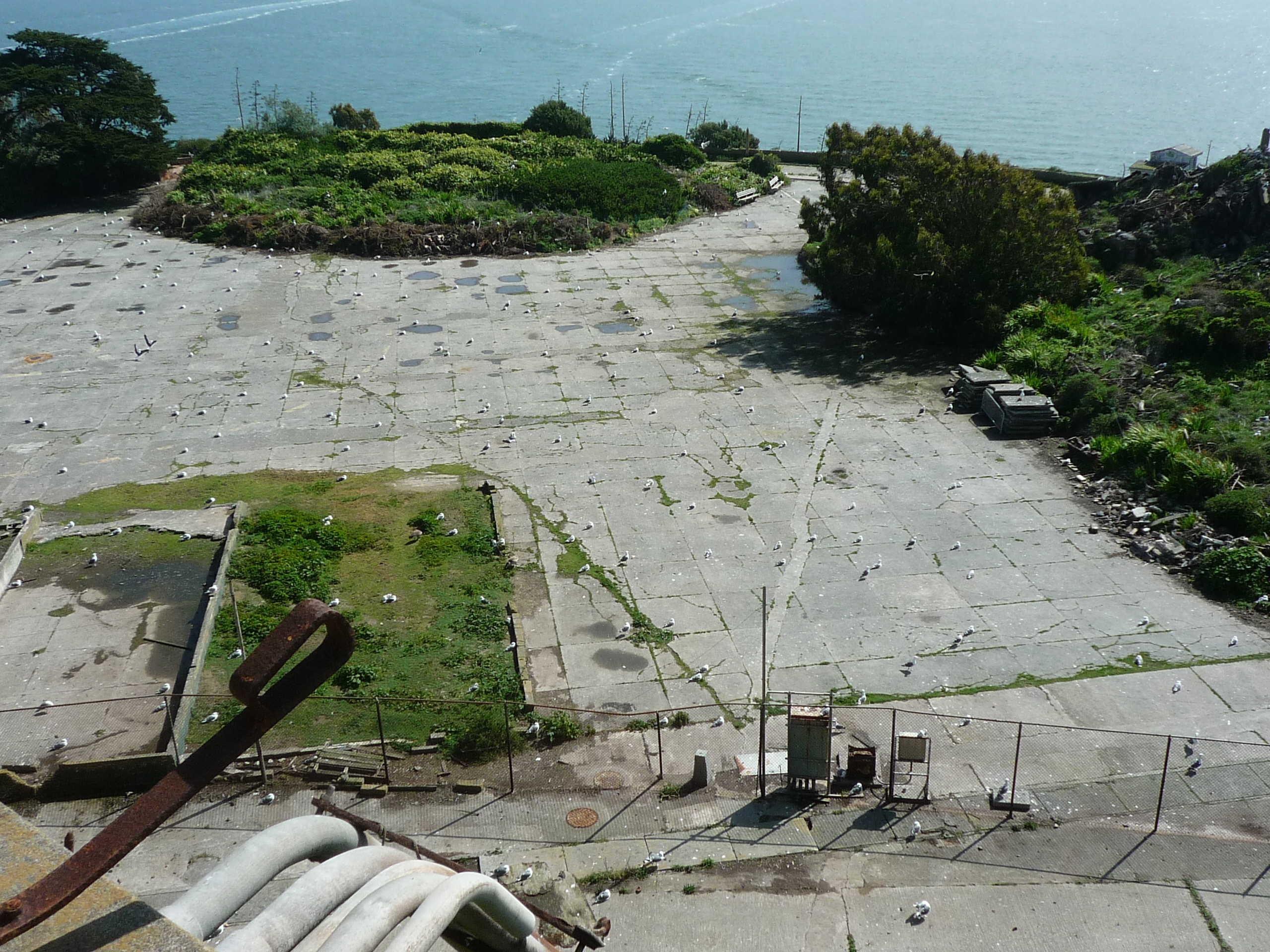 P1390656-fx37