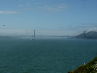 P1390652-fx37.JPG
