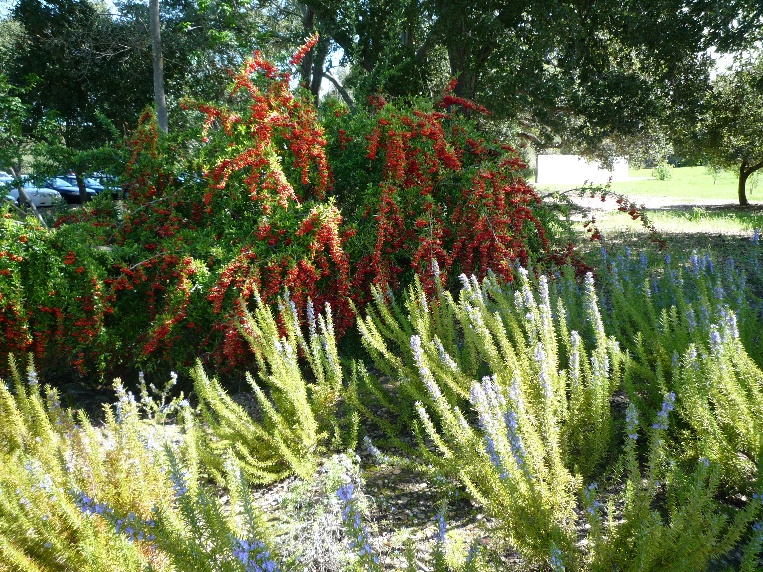 P1400275-fx37
