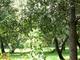 P1400210-fx37.MOV#000015