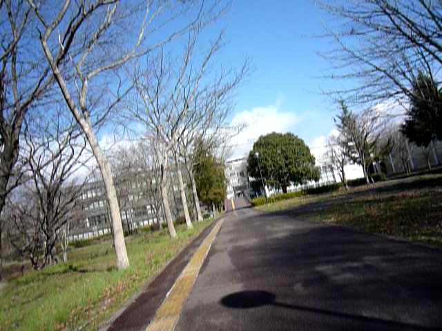 P1400779-fx37#001115