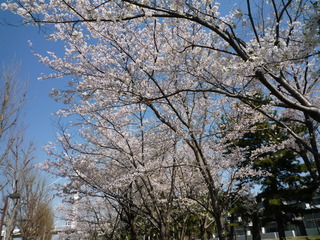 P1410556-fx37.JPG