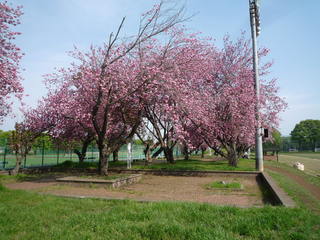 P1420006-fx37.JPG