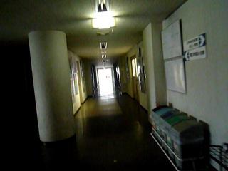 P1420450-fx37#000000