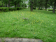 P1430397-fx37.JPG
