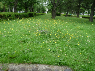 P1430397-fx37.JPG
