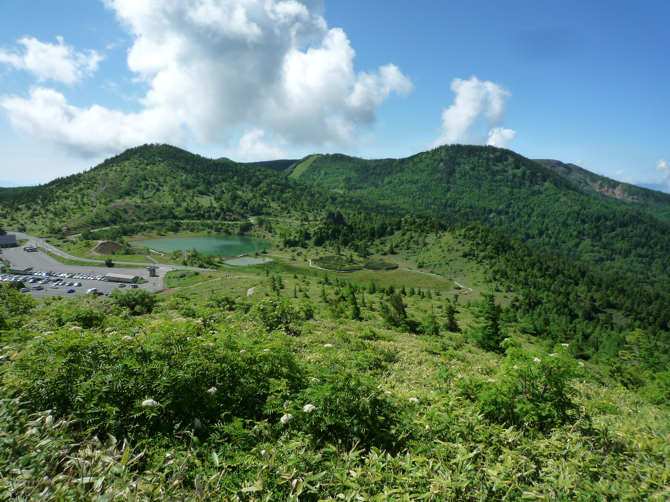 P1430578-fx37