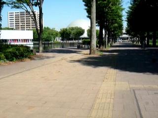 P1430976-fx37.MOV#000145