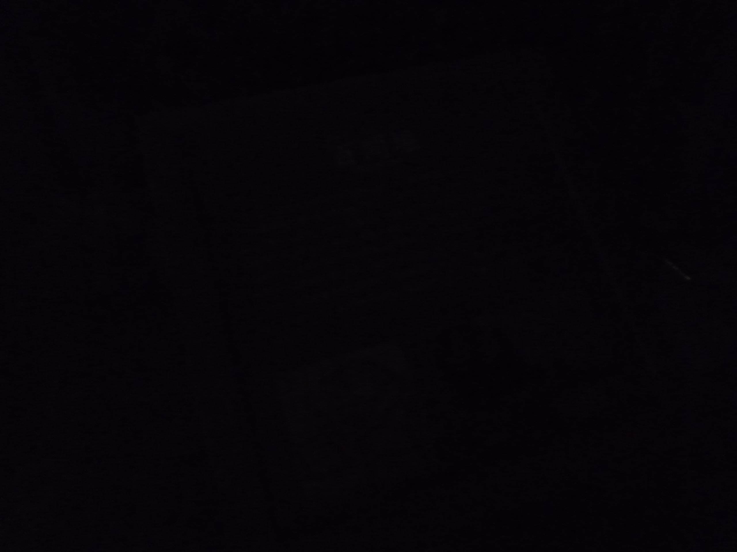 P1440391-fx37