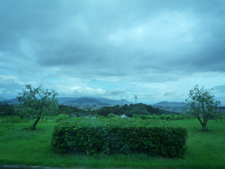 P1460889-fx37.JPG
