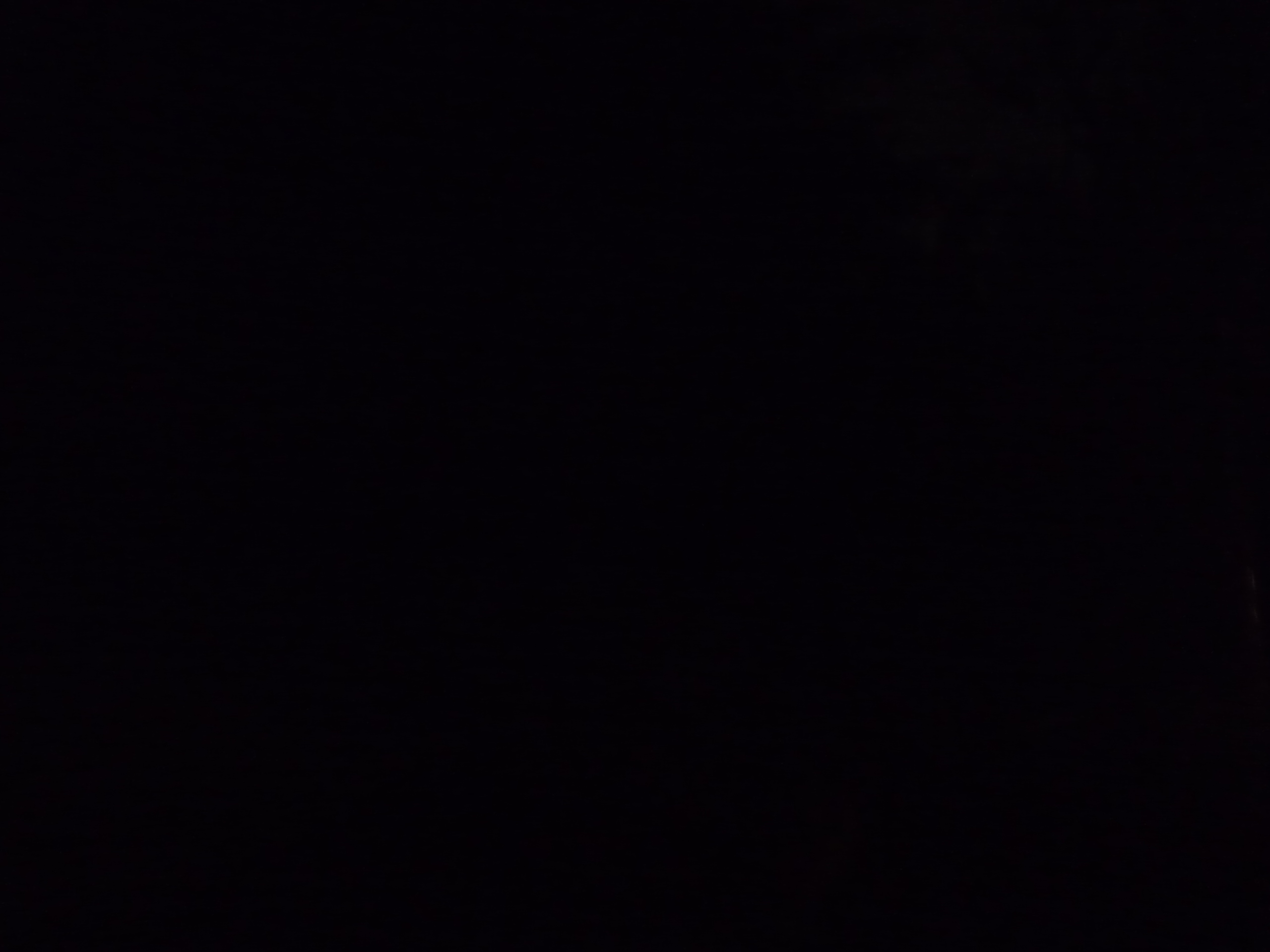 P1470424-fx37