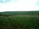 P1480062-fx37.MOV#000015