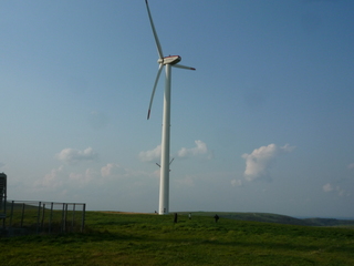 P1480109-fx37.JPG