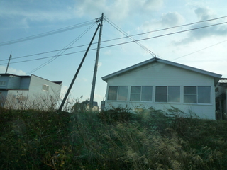 P1480137-fx37.JPG