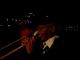 P1480998-fx37.MOV#000015