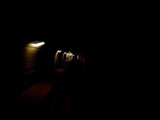 P1500426-fx37#000415