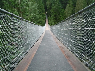 P1500464-fx37.JPG