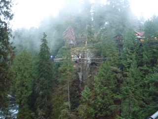 P1500502-fx37.JPG