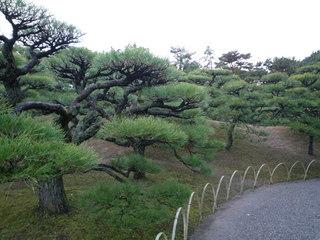 P1510400-fx37.JPG