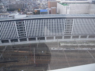 DSCN0784-p6000.JPG