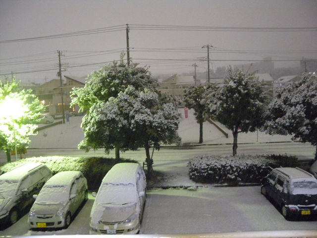 DSCN1226-p6000