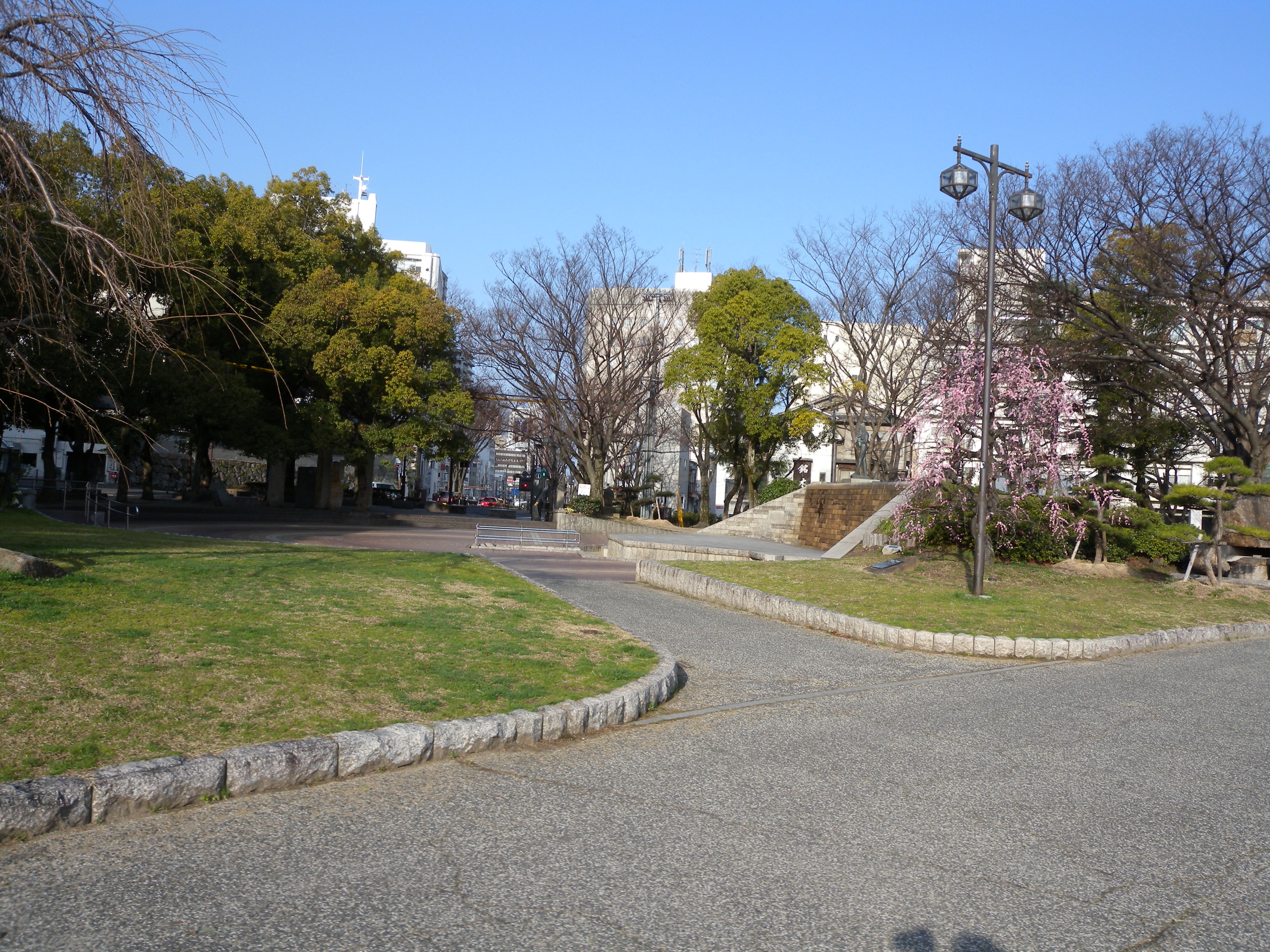 DSCN1114-p6000