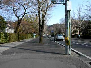 DSCN1131-p6000.AVI#000115