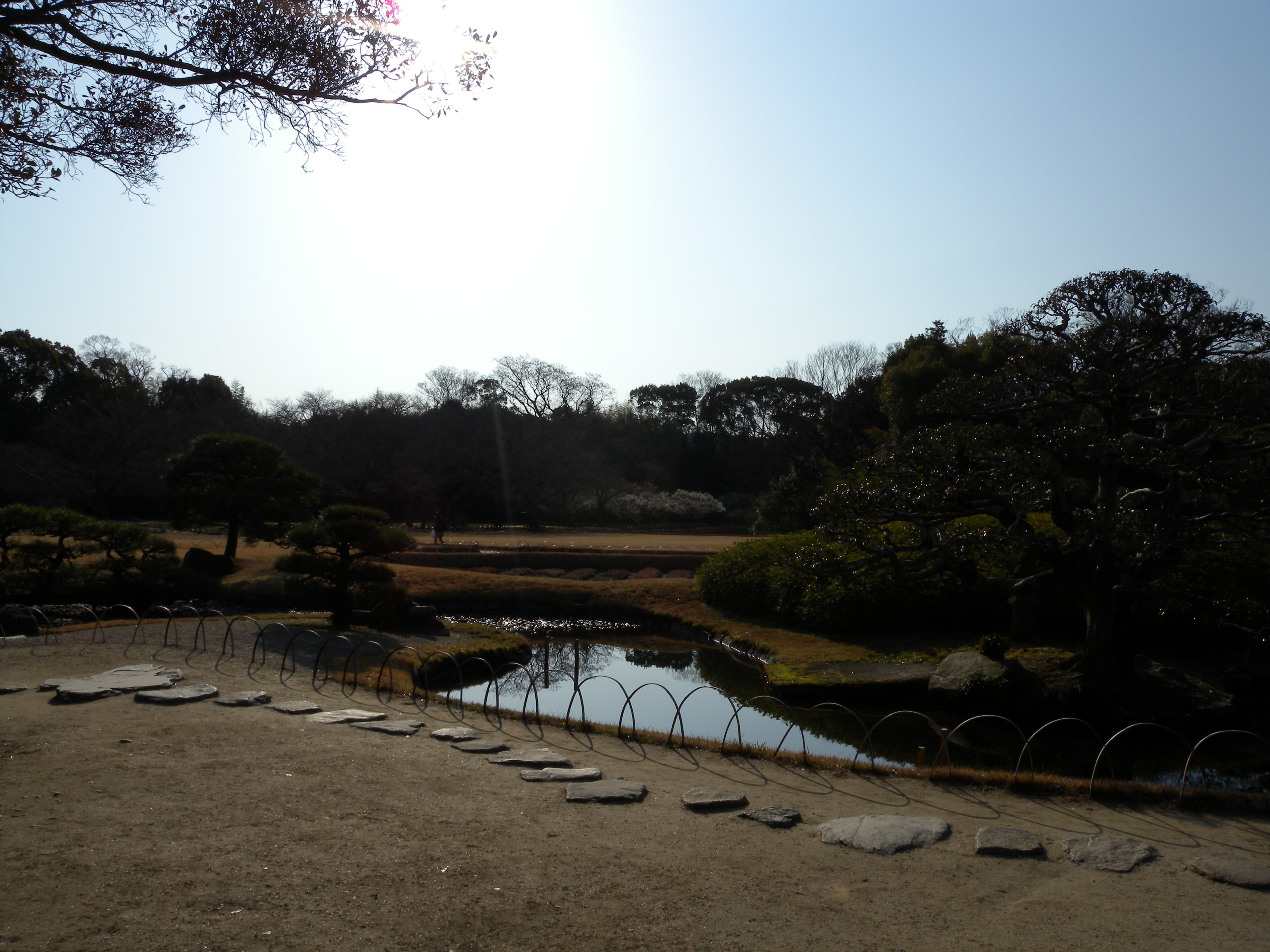 DSCN1317-p6000