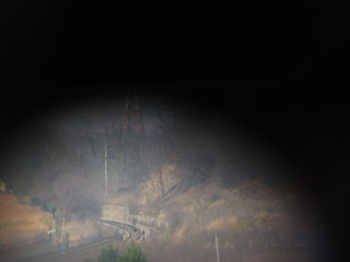 P1000765-fx80.JPG