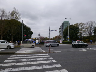 P1010042-fx80.JPG