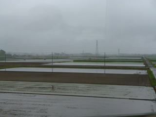 P1010297-fx80.JPG