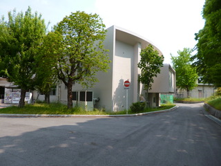 P1010701-fx80.JPG