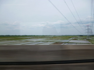 P1010717-fx80.JPG