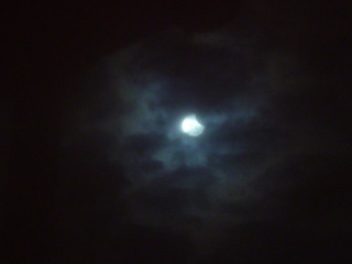 P1010788-fx80.JPG