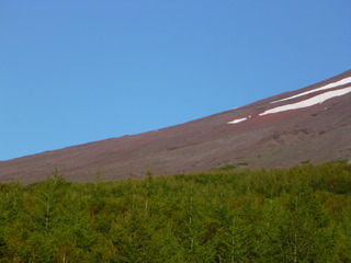 P1020942-fx80.JPG