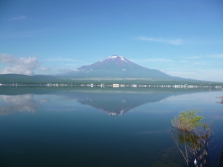 P1020979-fx80.JPG