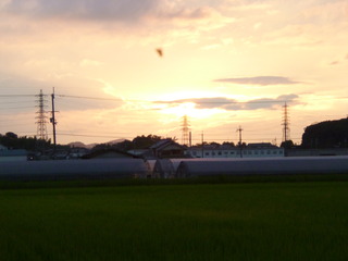 P1050344-fx80.JPG