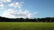 P1050718-fx80.MP4#000615