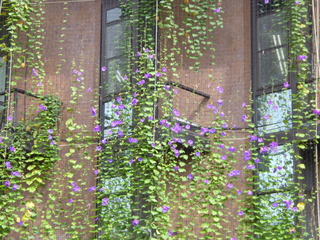 P1050758-fx80.JPG